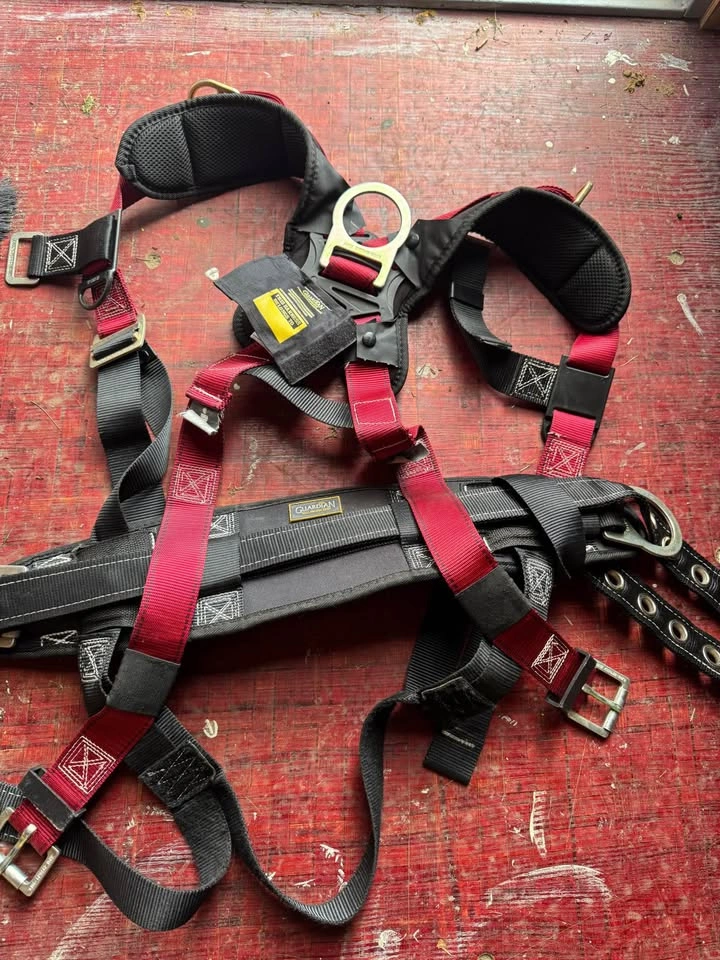 Guardian Fall Protection M-L Seraph - photo 2