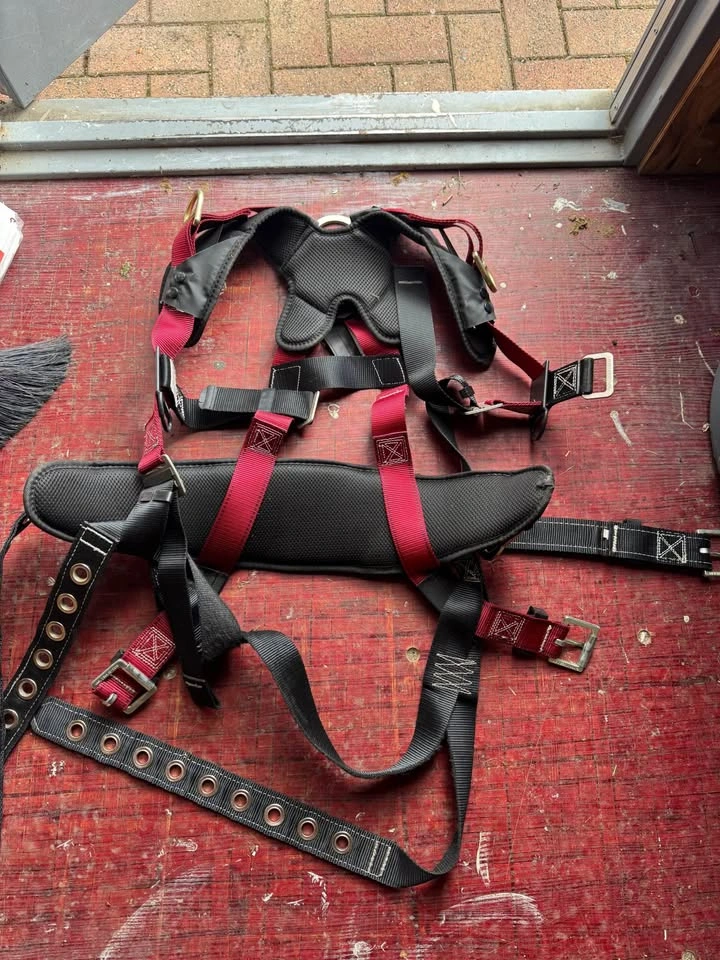 Guardian Fall Protection M-L Seraph - photo 3