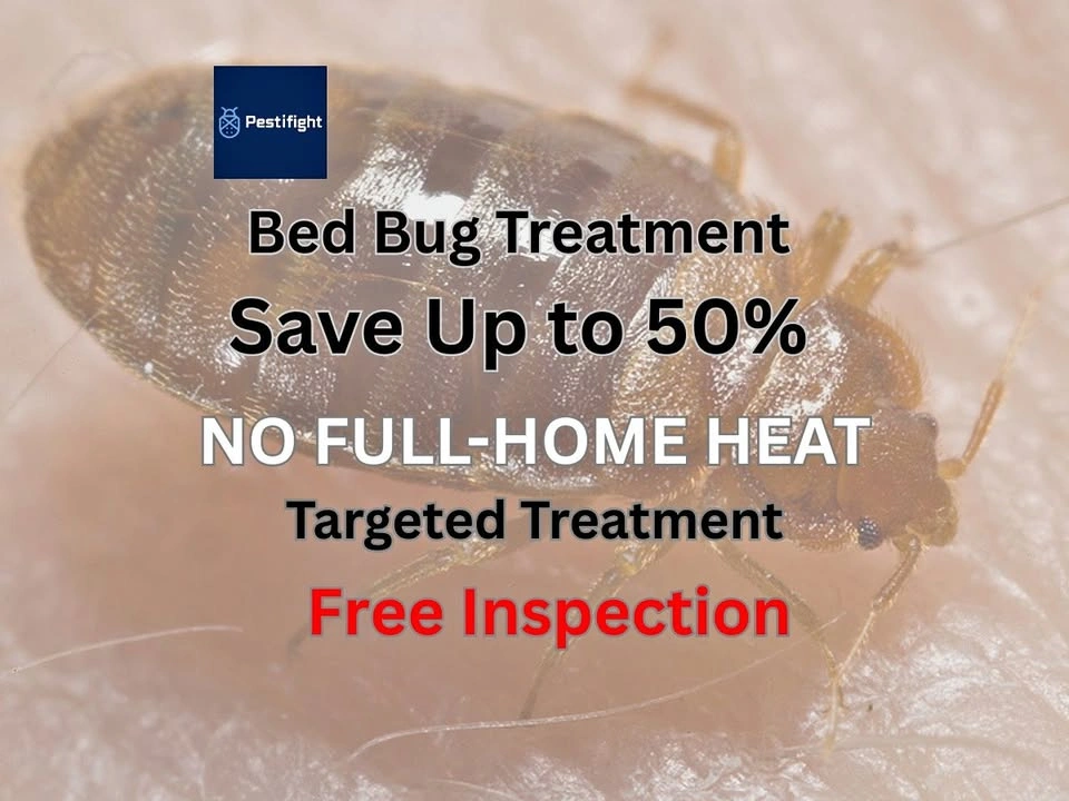 Bed Bug Treatment Equipment