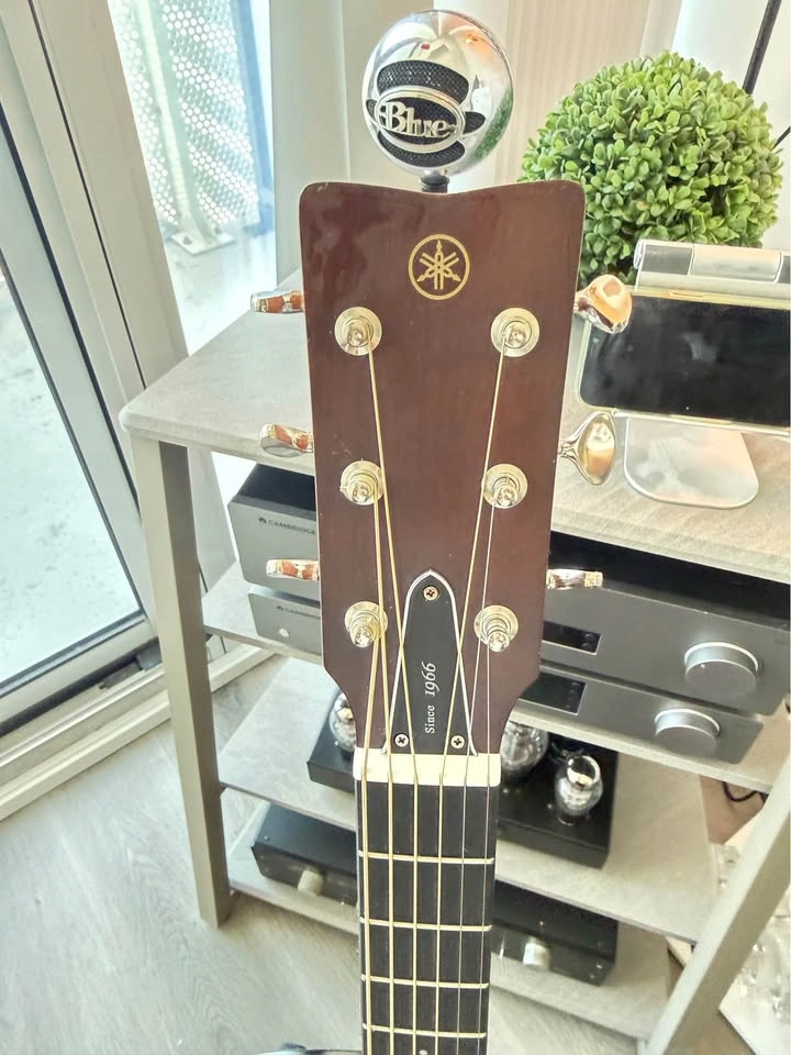 YAMAHA FG3X - photo 3