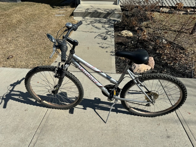 Raleigh Summit Bicycle