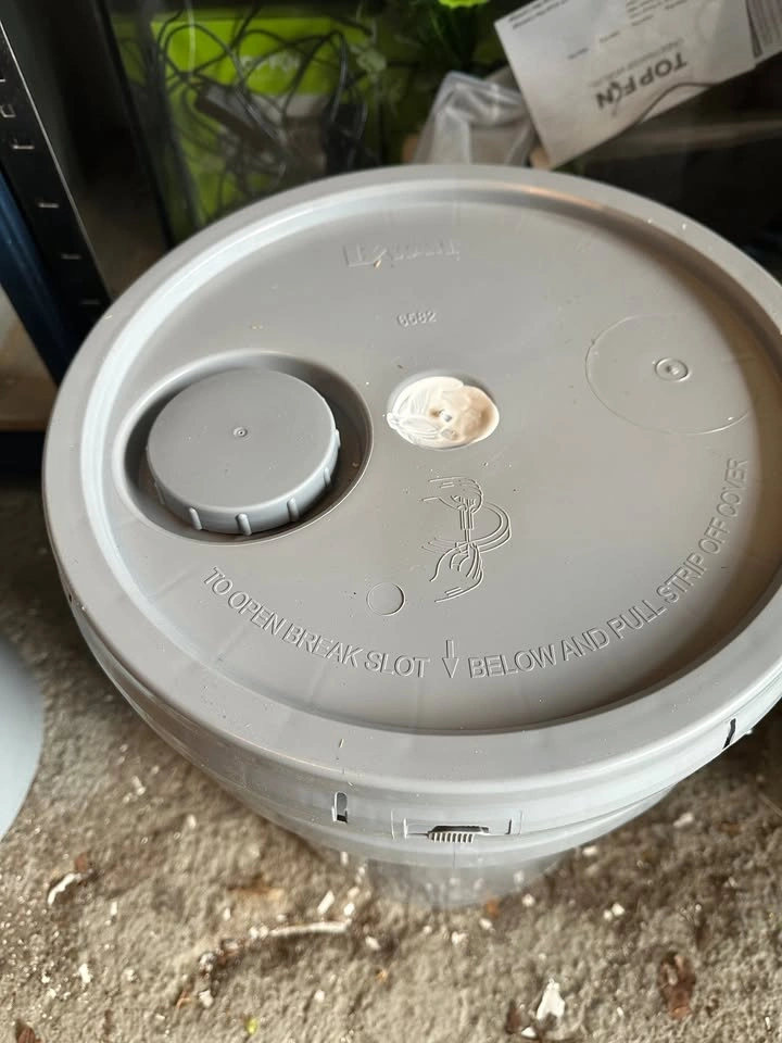 Paint New Full Pail Latex Eggshell White - photo 2