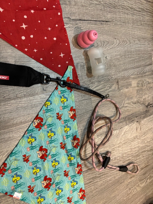 Dog Supplies Bundle - photo 2
