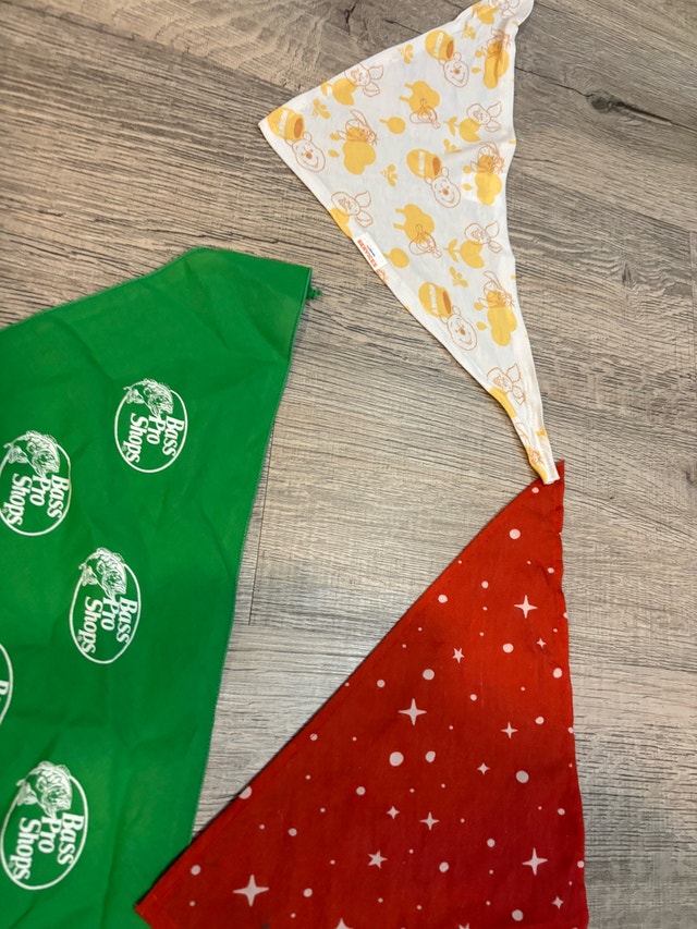 Dog Supplies Bundle - photo 3
