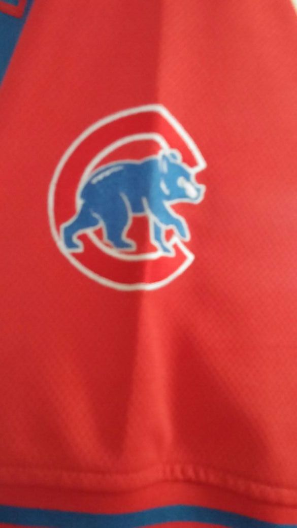 Chicago Cubs Baseball Jersey LARGE $30 - photo 2