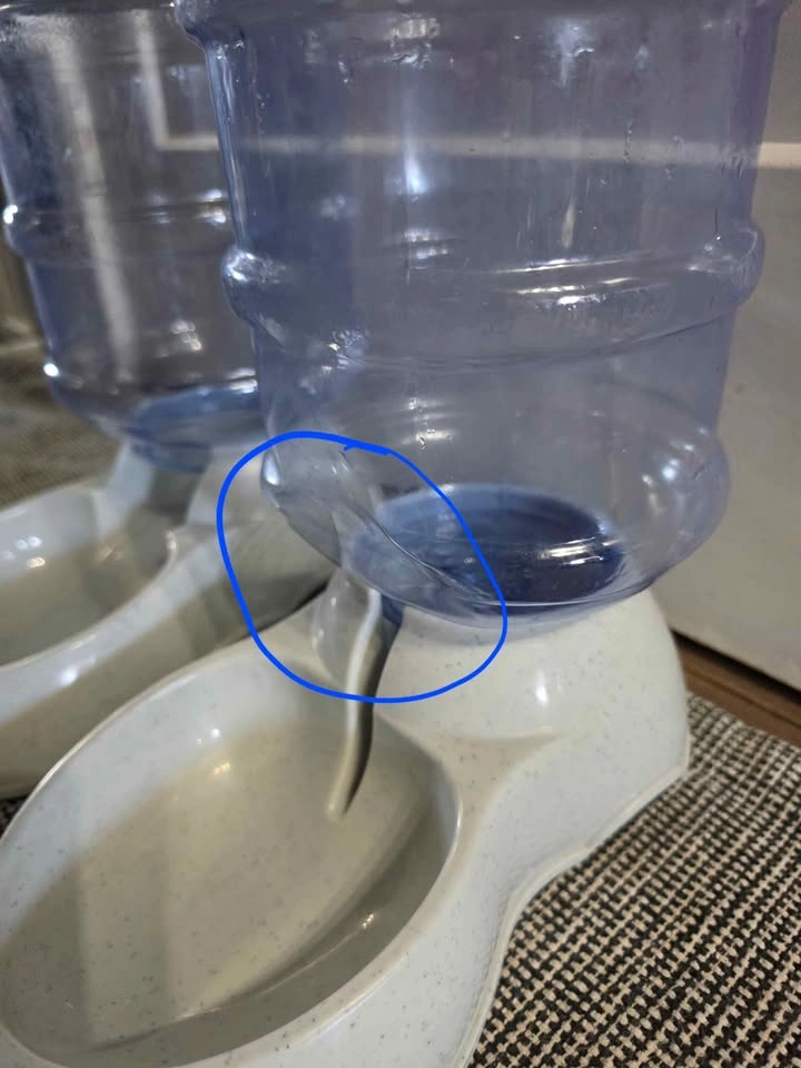Amazon Basics Pet Waterer Feeder Set - photo 4