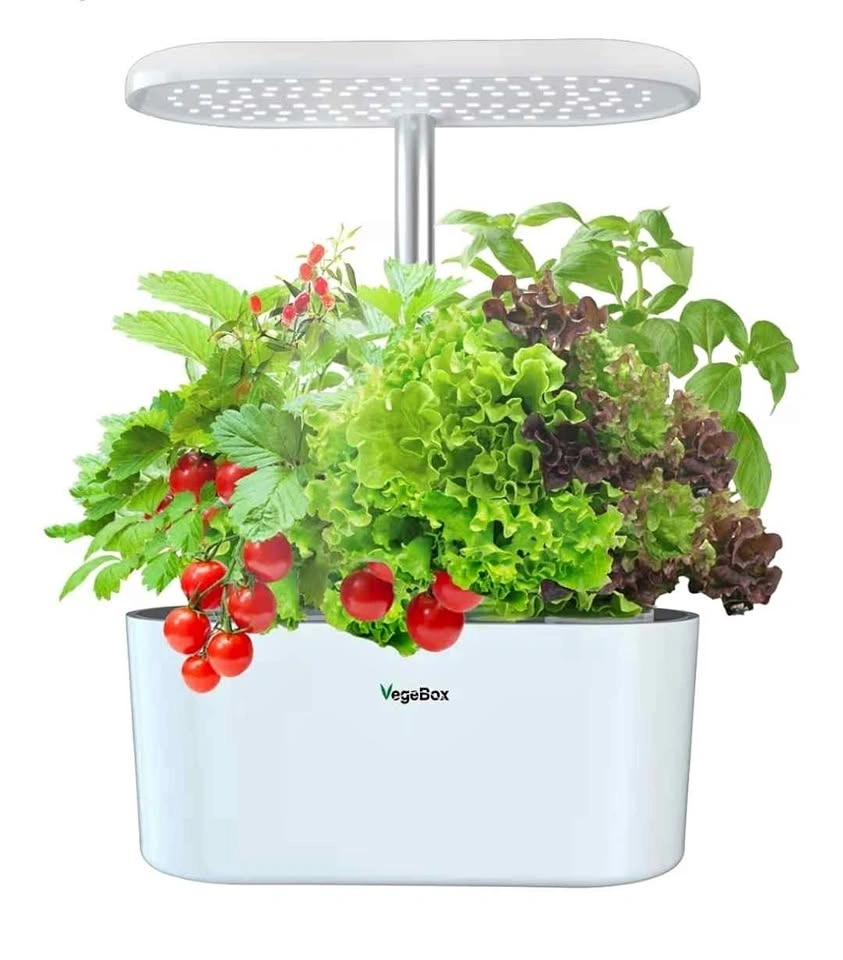 VegeBox Indoor Garden Kit with LED Lighting