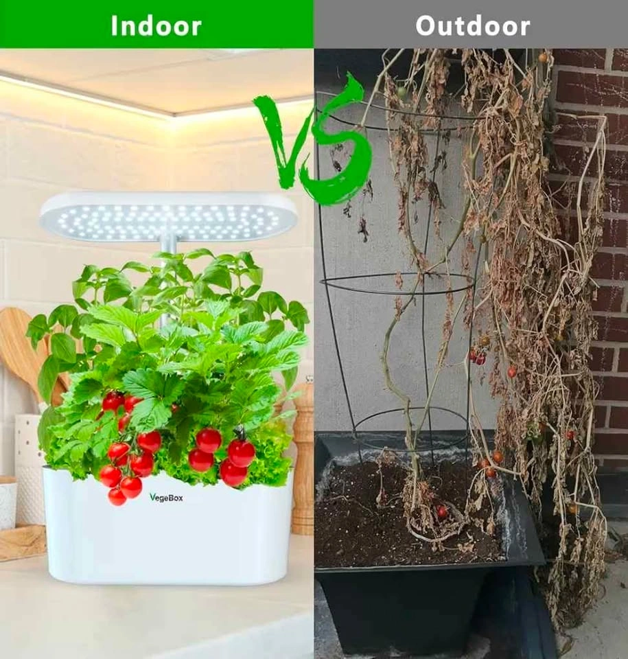 VegeBox Indoor Garden Kit with LED Lighting - photo 5