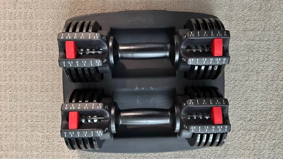 Adjustable dumbbells (15 lb each)