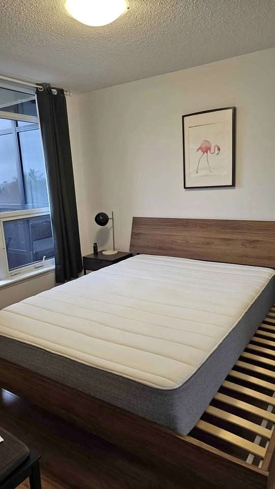 Queen Foam Mattress