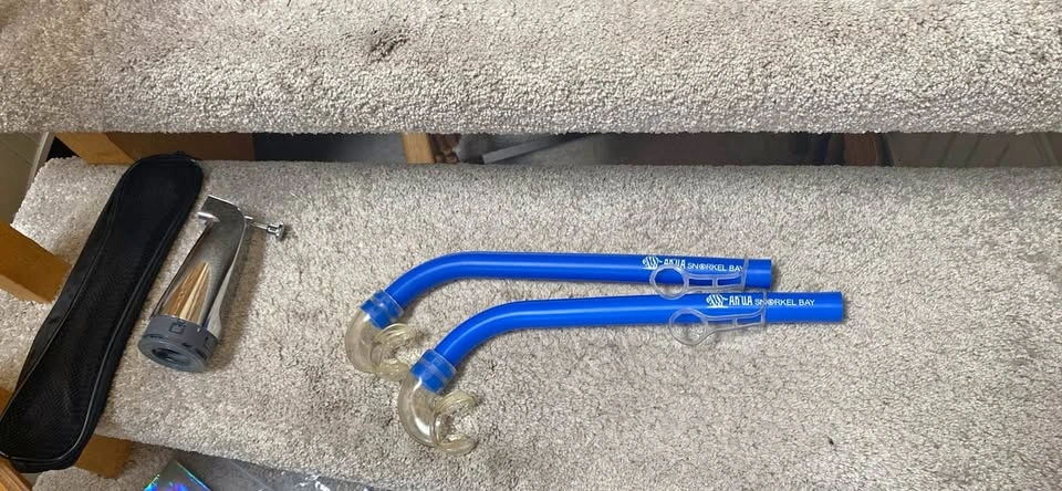 2 snorkles