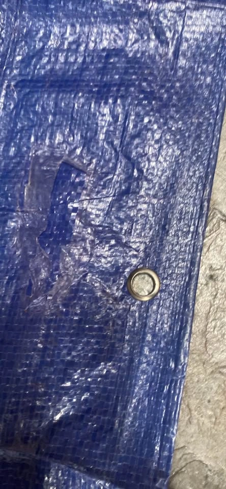 Tarp - photo 4