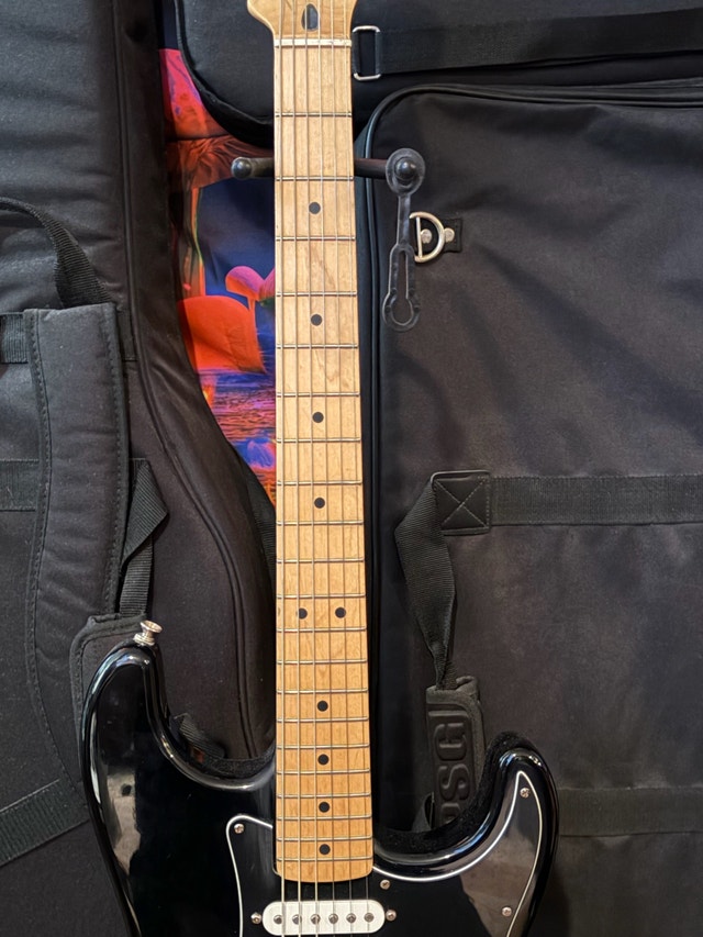 Fender Stratocaster - photo 4