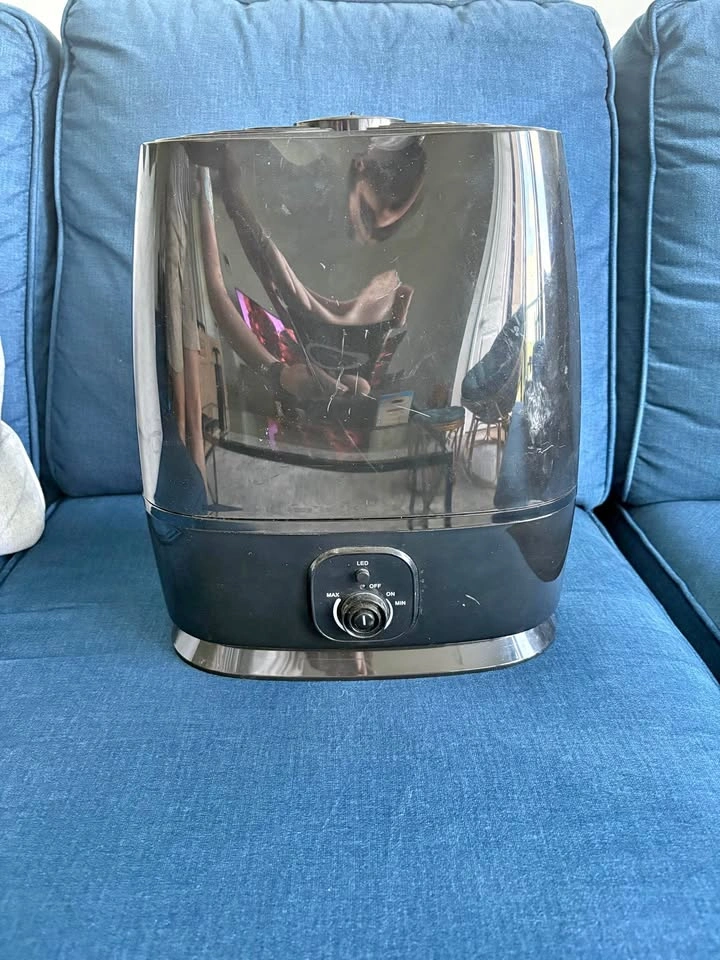 Everlasting Comfort Humidifier