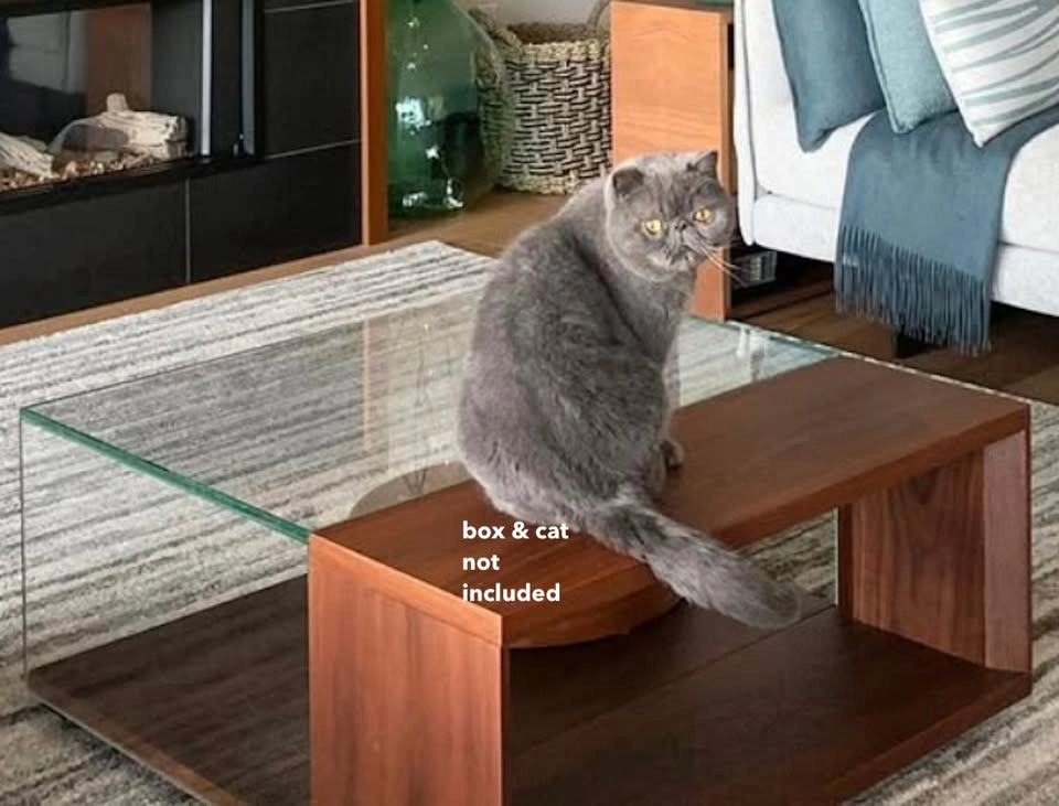 King Living Coffee Table - Glass & Wood