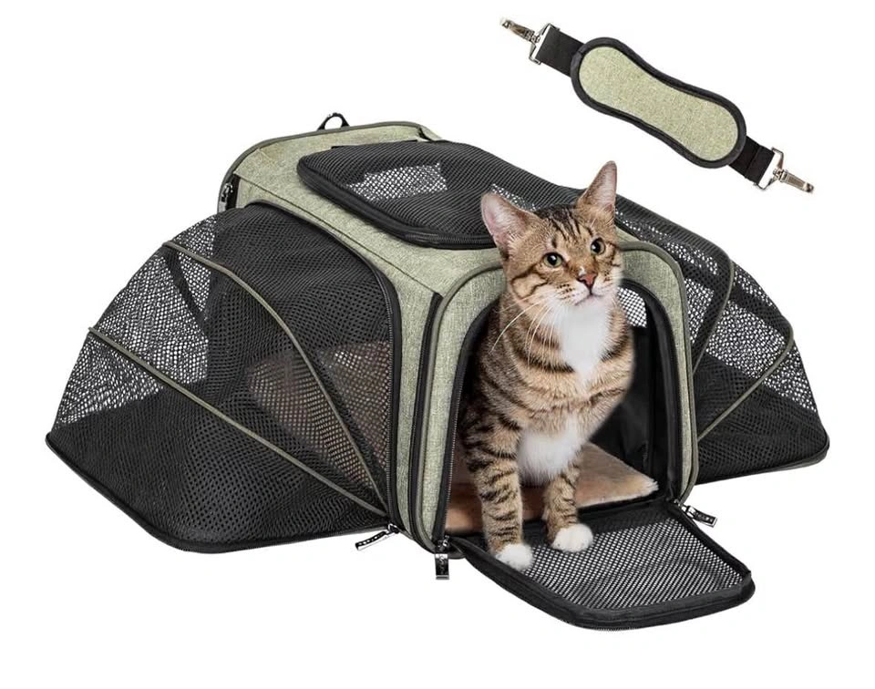 16" Expandable Cat Carrier Airline Approved