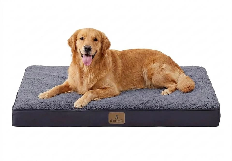 New Large Orthopedic Dog Bed