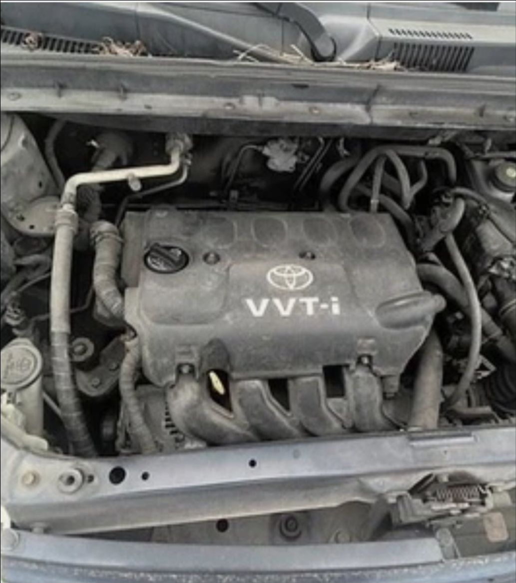 2003 Toyota Echo - photo 3