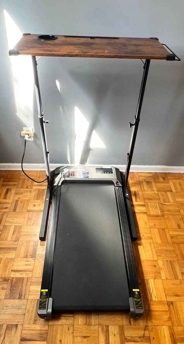 Walking Pad & Treadmill Desk Workstation