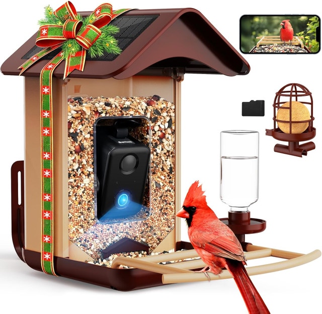 BL01 Bird Feeder with Camera Solar Powered