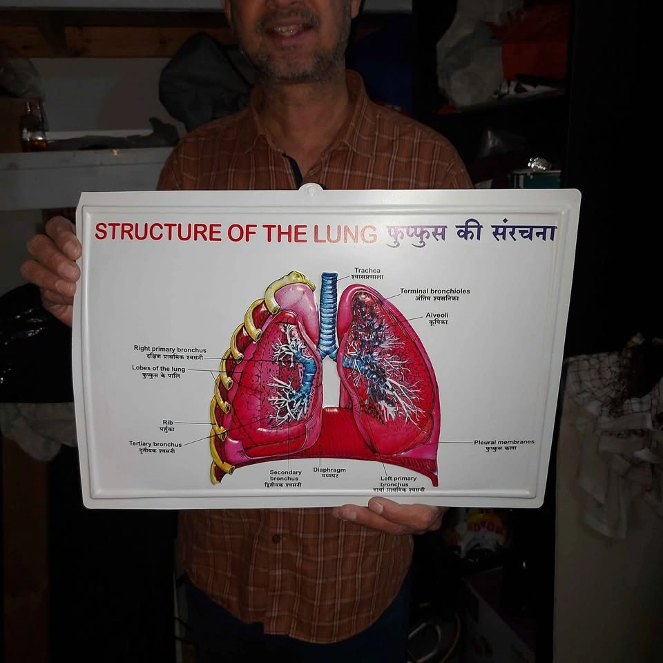 Human Physiology Diagram Set - photo 2