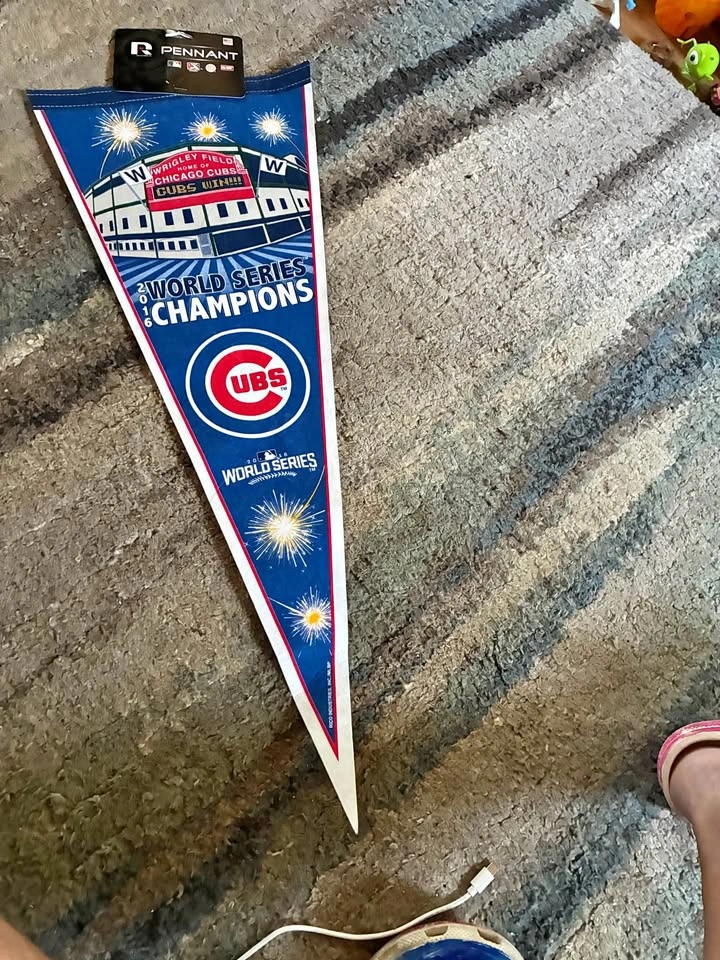 2016 Chicago Cubs World Series Champions Pennant