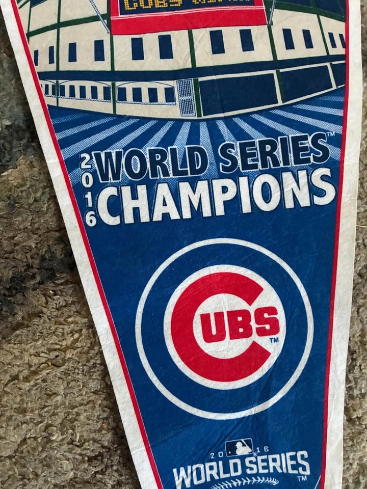 2016 Chicago Cubs World Series Champions Pennant - photo 4
