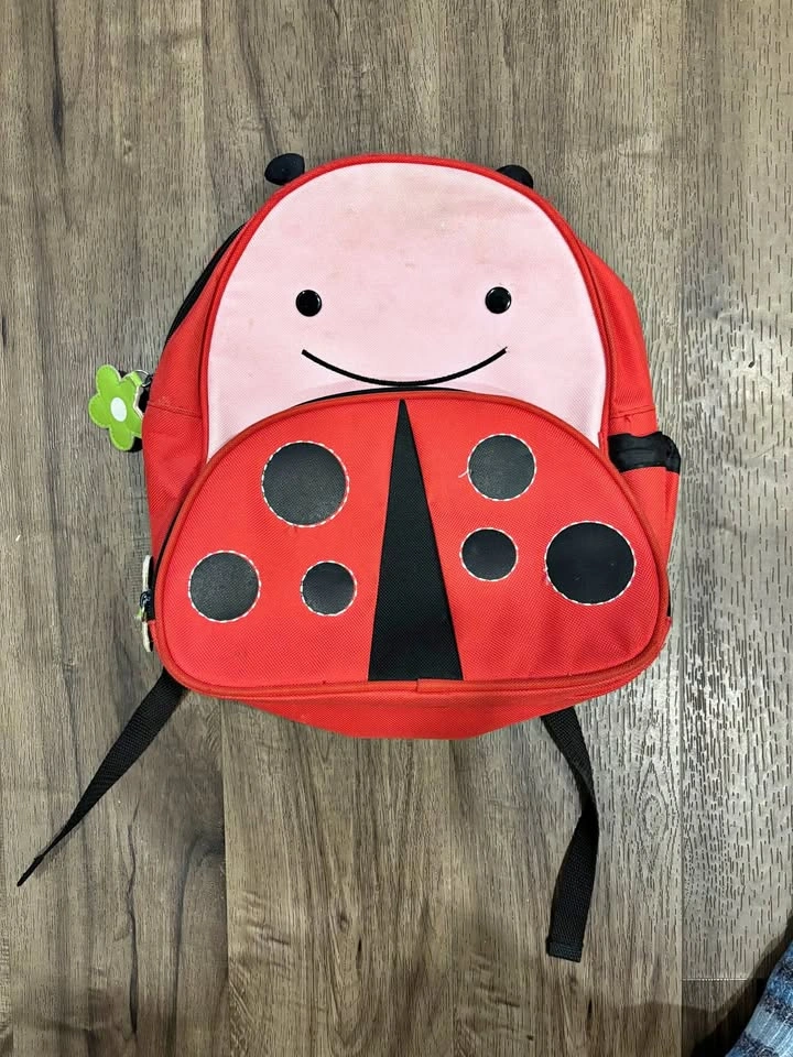 Toddler Skip Hop Ladybug Backpack