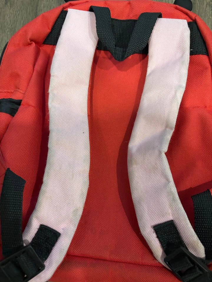 Toddler Skip Hop Ladybug Backpack - photo 5