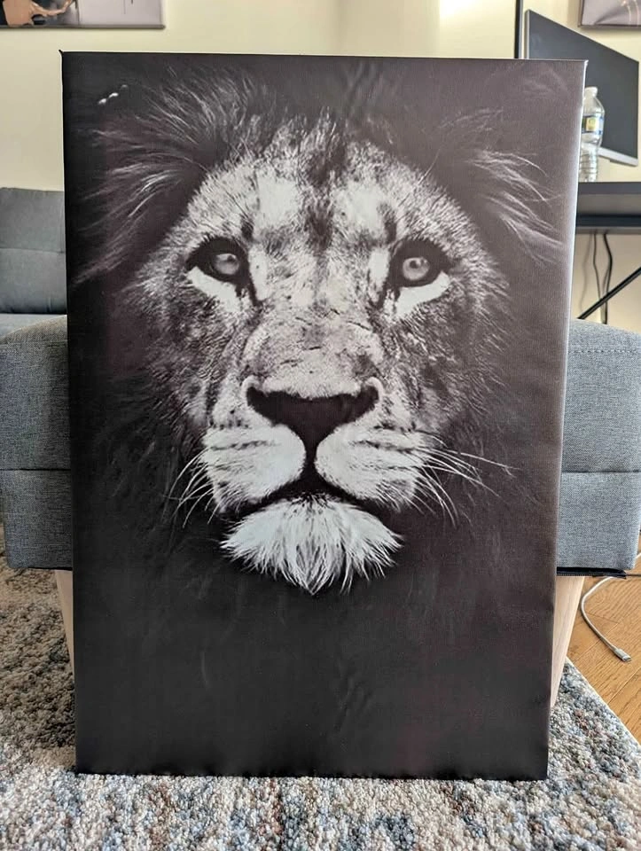 Black/White Lion Canvas Wall Art 17.5" x 25.5"