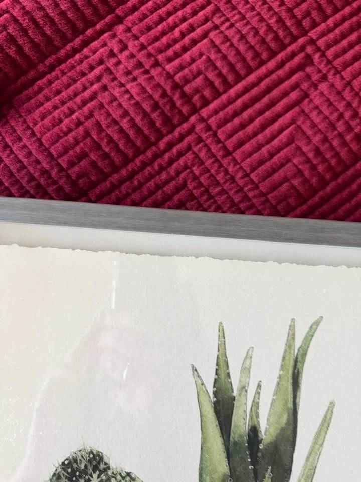 Bunch of Cacti Framed Painting Print, Marmont Hill 16x24 - photo 5
