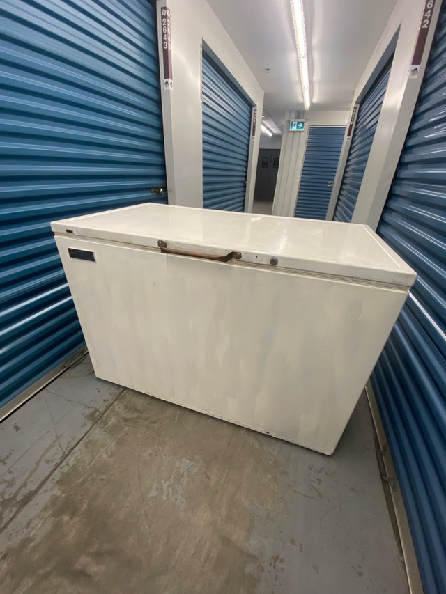 LARGE WHITE CHEST FREEZER - photo 3