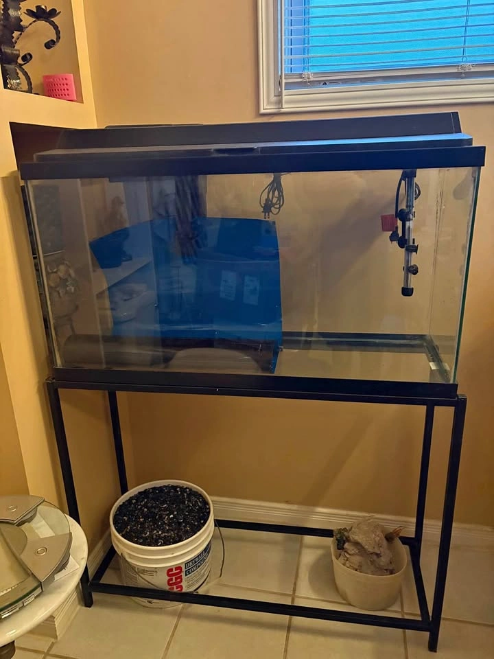 Fish tank with accessories