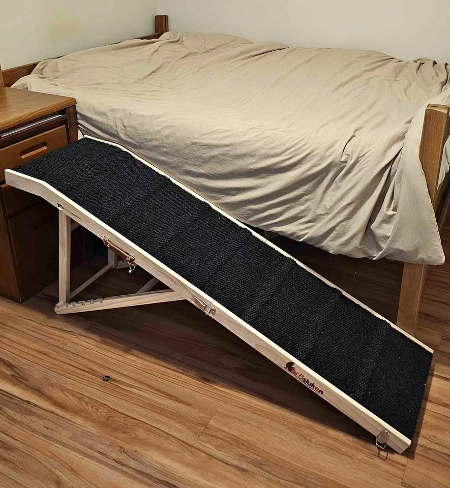 Dog ramp for bed