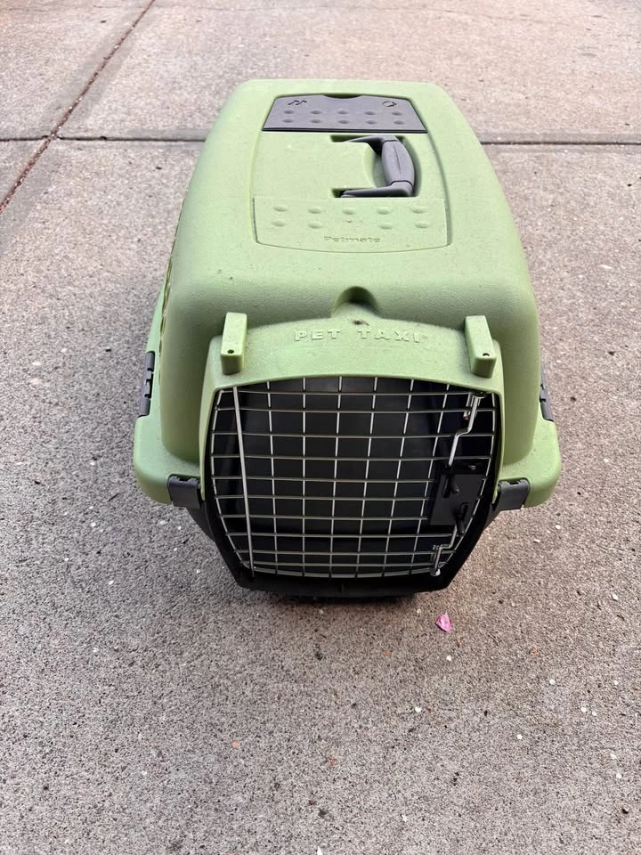 Petmate Pet Taxi 23" Pet Carrier