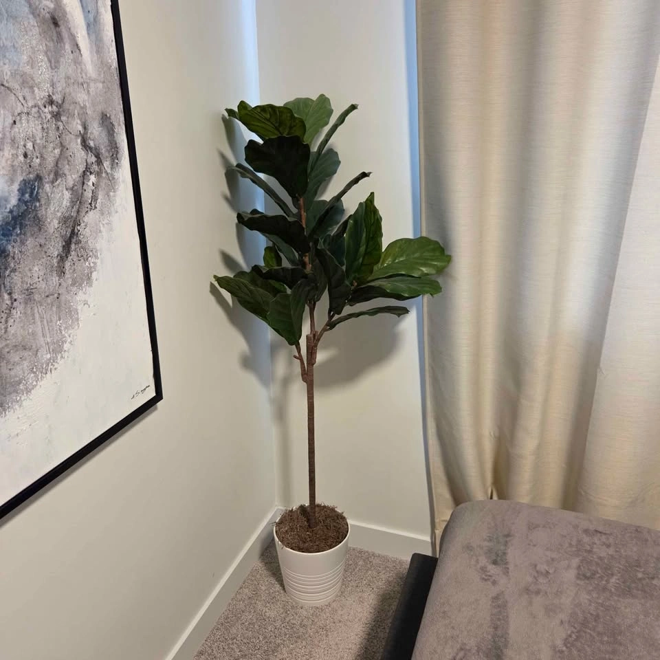Faux Fiddle Leaf Fig Plant - photo 2
