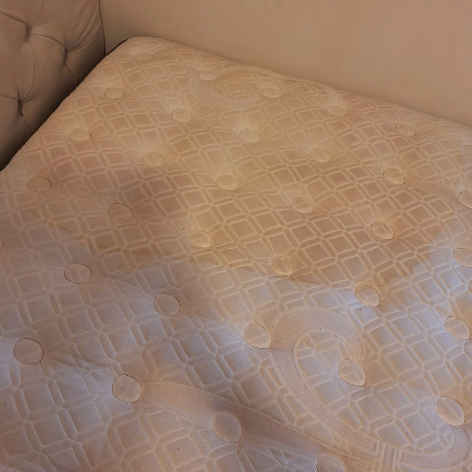 Stearns & Foster Estate Luxury Firm Queen Mattress + Encasement - photo 2