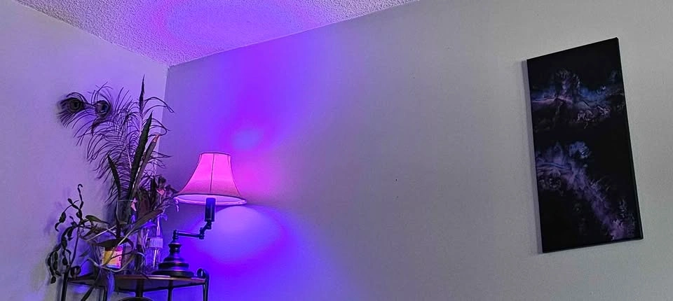 Brand New Globe Smart Wi-Fi RGB Dimmable LED Bulbs (2x 3-Pack) - photo 5