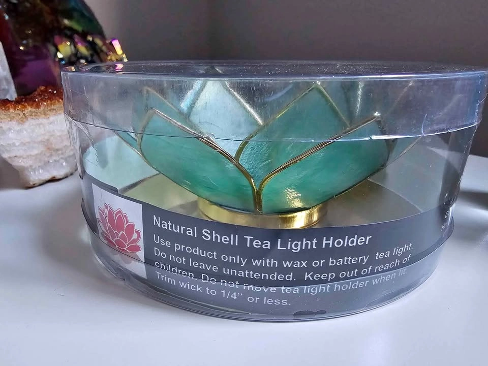 Natural Shell Tea Light Holder 🕯 Teal