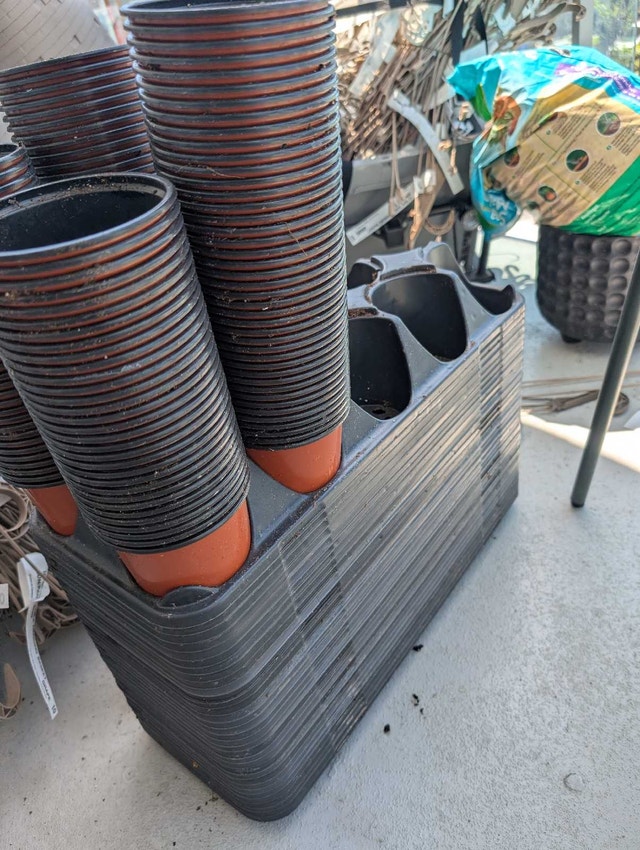 10” Hanging Pots + Nursery Trays & 4” Pots — 10 for $10