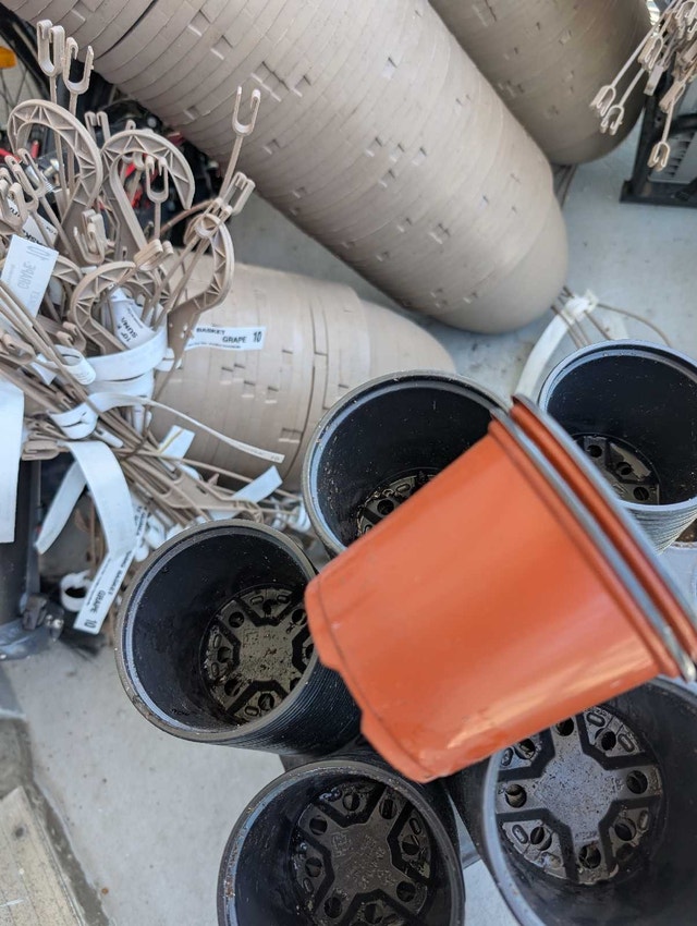 10” Hanging Pots + Nursery Trays & 4” Pots — 10 for $10 - photo 3