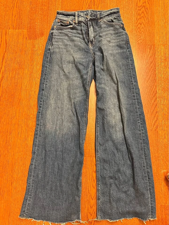 American Eagle Wide Leg Baggy Jeans (00/24R)