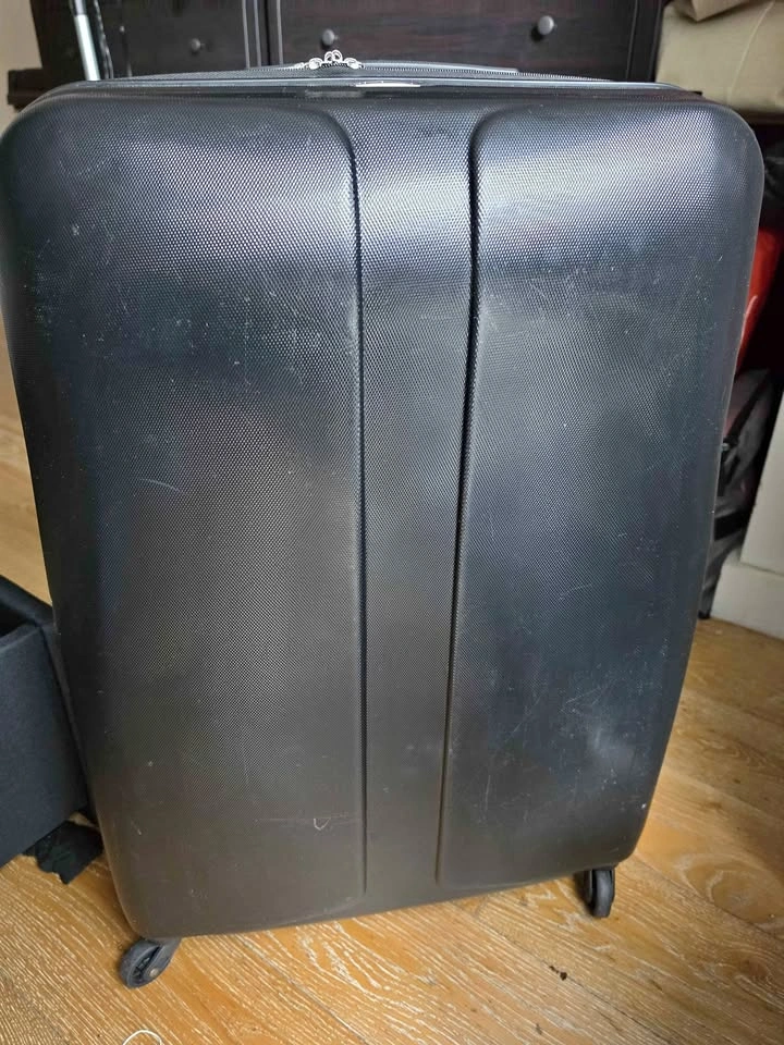 Protocol Black 2-Piece Luggage Set (30" & 22")