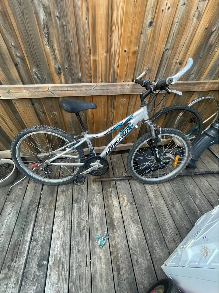 Mountain bike for sale - photo 2