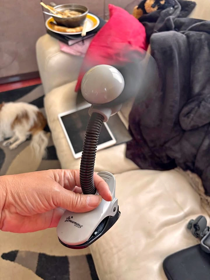 2 Fans for price of one