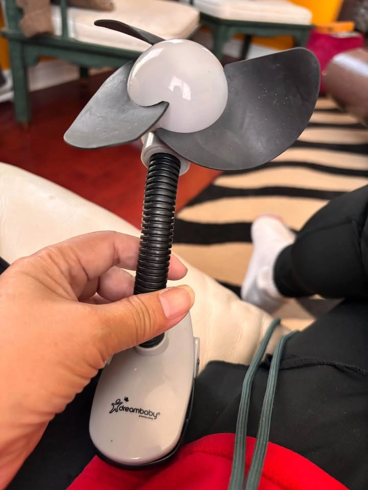 2 Fans for price of one - photo 2