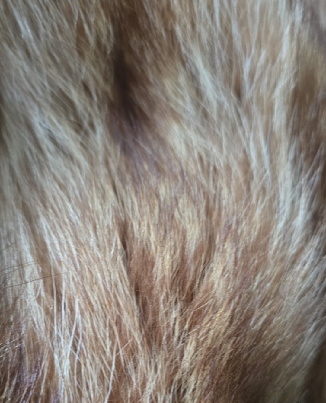 Vintage Fur Coat A&M Hurtig Raccon - photo 3