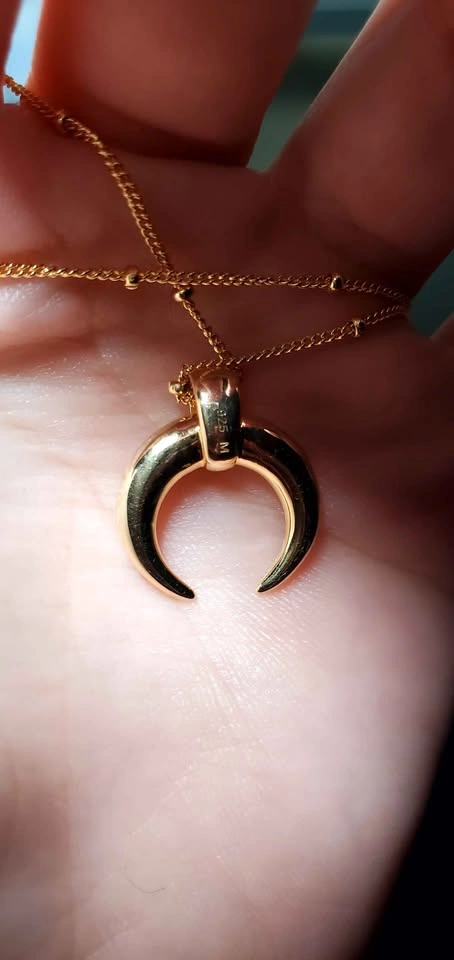 Missoma × Lucy Williams Large Horn Pendant Necklace - photo 5