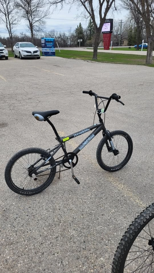Trapper X Games Single-Speed BMX/Freestyle Bike