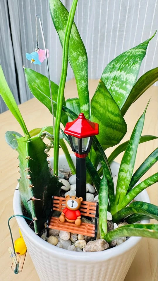 Cute low maintenance plant arrangement - photo 2